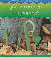 �c�mo Crecen Las Plantas?