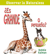 �Es Grande O Peque�o? (Is It Big or Small?)