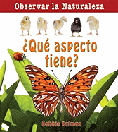 �Qu� Aspecto Tiene? (How Does It Look?)
