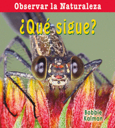�Qu� Sigue? (What Comes Next?)