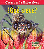 �Qu� Sigue? (What Comes Next?)