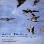 �ngeles o Calandrias