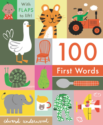 100 First Words: With Flaps to Lift - Underwood, Edward (Illustrator)