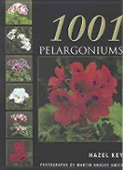 1001 Pelargoniums