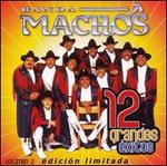 12 Grandes Exitos, Vol. 2