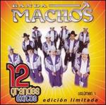 12 Grandes Exitos Volumen 1