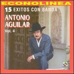 15 Exitos Con Banda, Vol. 4