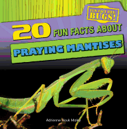 20 Fun Facts about Praying Mantises