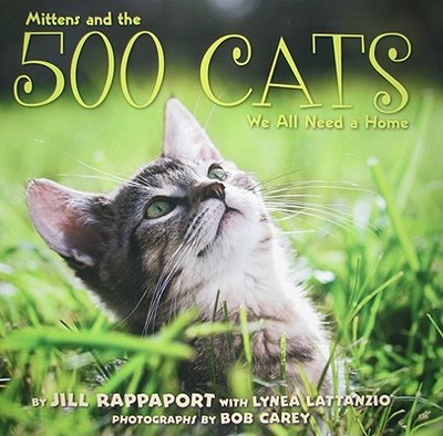 500 Cats - Rappaport, Jill