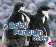 A Baby Penguin Story