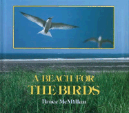 A Beach for the Birds