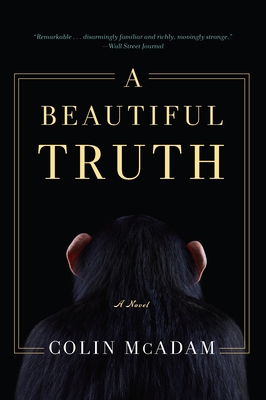 A Beautiful Truth - McAdam, Colin