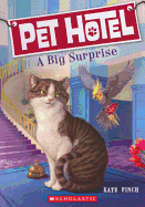 A Big Surprise