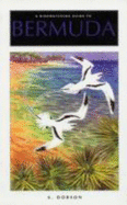 A Birdwatching Guide to Bermuda