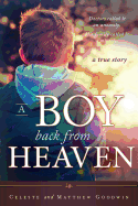 A Boy Back from Heaven