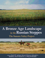 A Bronze Age Landscape in the Russian Steppes: The Samara Valley Project