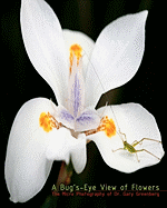 A Bug's-Eye View of Flowers
