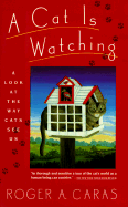A Cat Is Watching: A Look at the Way Cats See Us