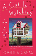 A Cat is Watching