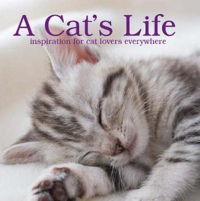 A Cat's Life - Pink Creative (Designer)