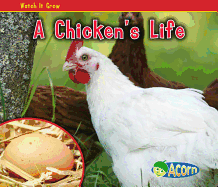 A Chicken's Life