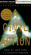 A Civil Action
