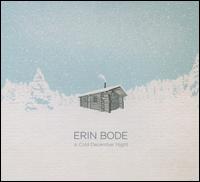A  Cold December Night - Erin Bode