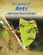 A Colony of Ants: And Other Insect Groups
