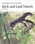 A complete guide to breeding stick and leaf insects