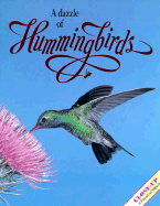A Dazzle of Hummingbirds
