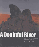 A Doubtful River