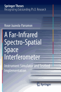 A Far-Infrared Spectro-Spatial Space Interferometer: Instrument Simulator and Testbed Implementation