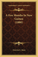 A Few Months in New Guinea (1880)