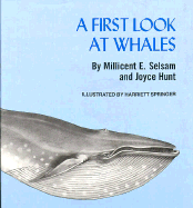 A First Look at Whales