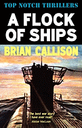 A Flock of Ships
