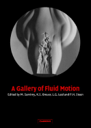 A Gallery of Fluid Motion