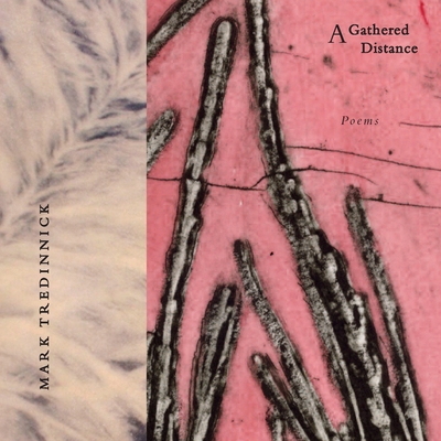 A Gathered Distance: Poems - Tredinnick, Mark