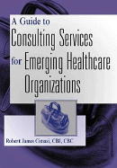 A Guide to Consulting Services for Emerging Healthcare Organizations