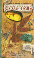 A Guide to Rocks & Fossils