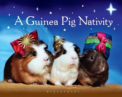 A Guinea Pig Nativity - 