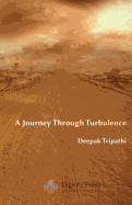 A Journey Through Turbulence