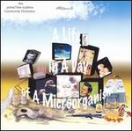 A Life in a Day of a Microorganism