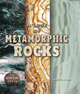 A Look at Metamorphic Rocks