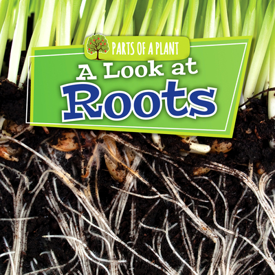 A Look at Roots - Lowe, Lindsey
