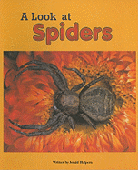 A Look at Spiders