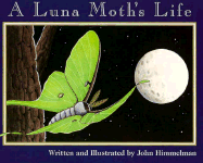 A Luna Moth's Life