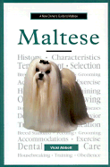 A New Owner's Guide to Maltese