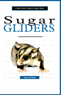 A New Owner's Guide to Sugar Gliders