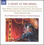 A Night at the Opera
