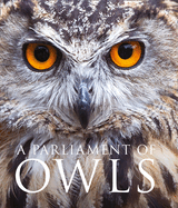 A Parliament of Owls